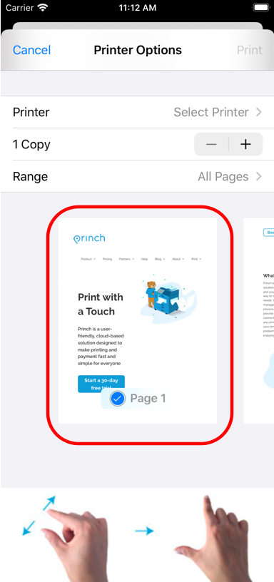  how to print a web page on iphone or ipad with princh