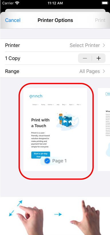 Printing a web page or email on an IOS device using Princh